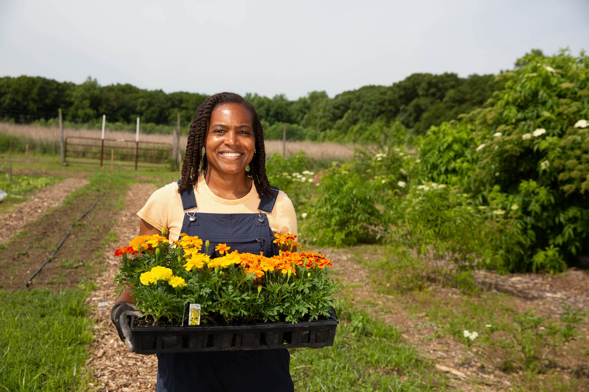 Gardener holding flowers.
