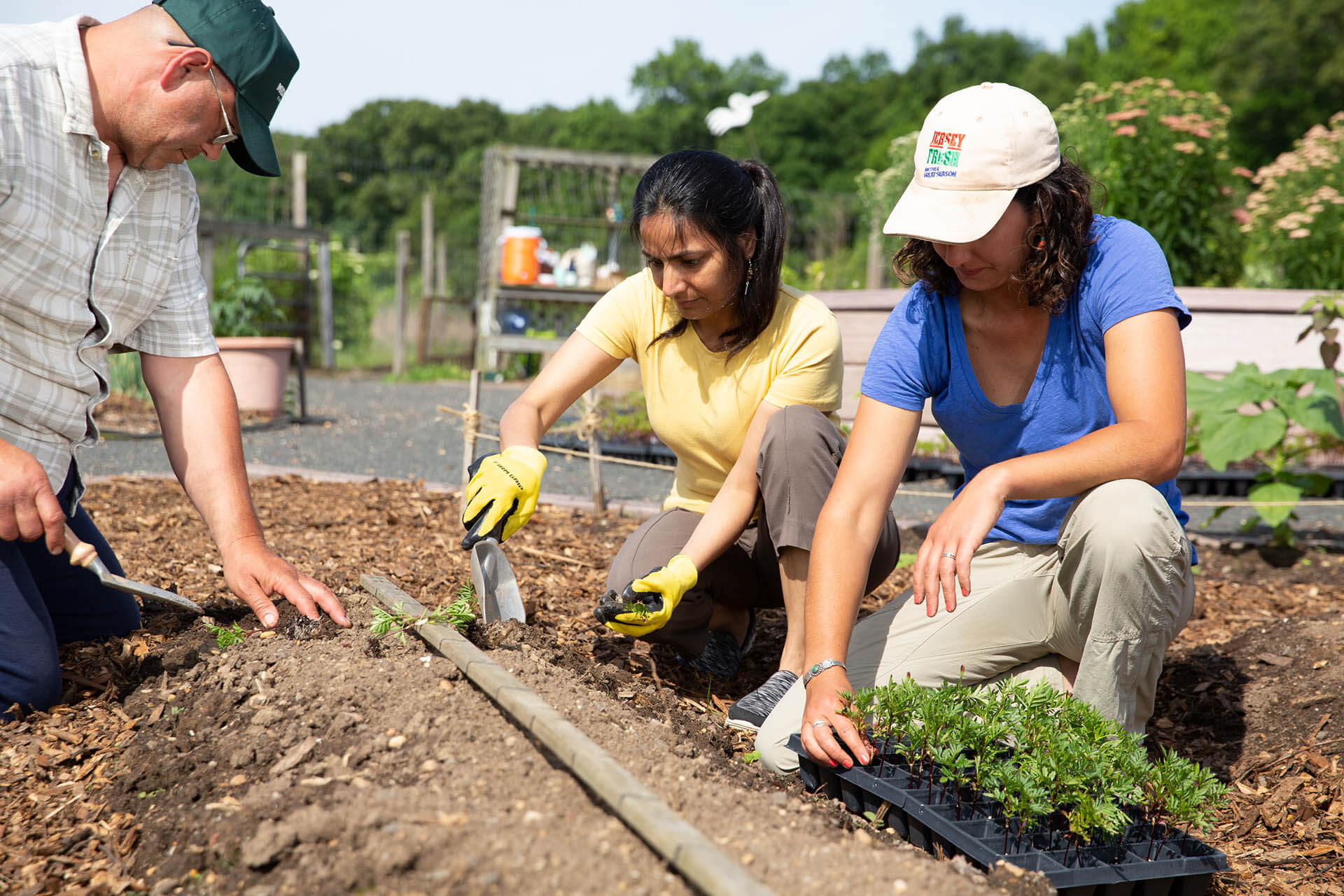 Gardeners working in a patch of soil.